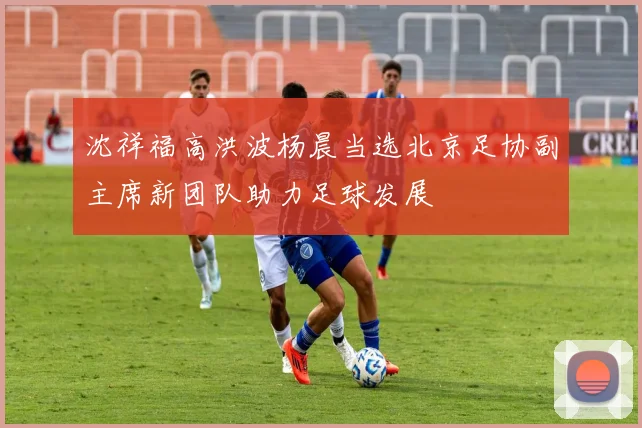 沈祥福高洪波杨晨当选北京足协副主席新团队助力足球发展