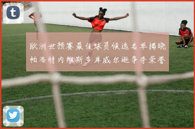 欧洲世预赛最佳球员候选名单揭晓帕洛特内维斯多库威尔逊争夺荣誉